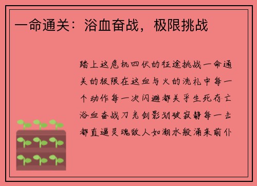 一命通关:浴血奋战,极限挑战