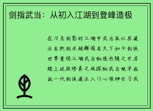 剑指武当：从初入江湖到登峰造极